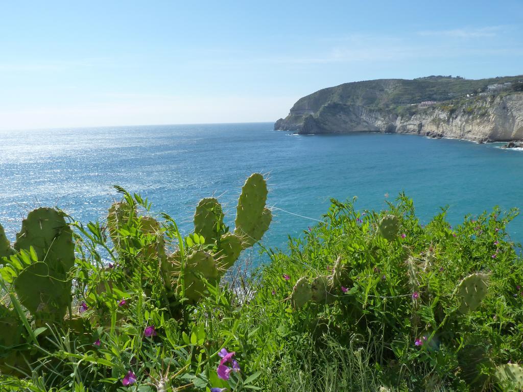 Pensione Villa Mafalda Forio di Ischia Buitenkant foto